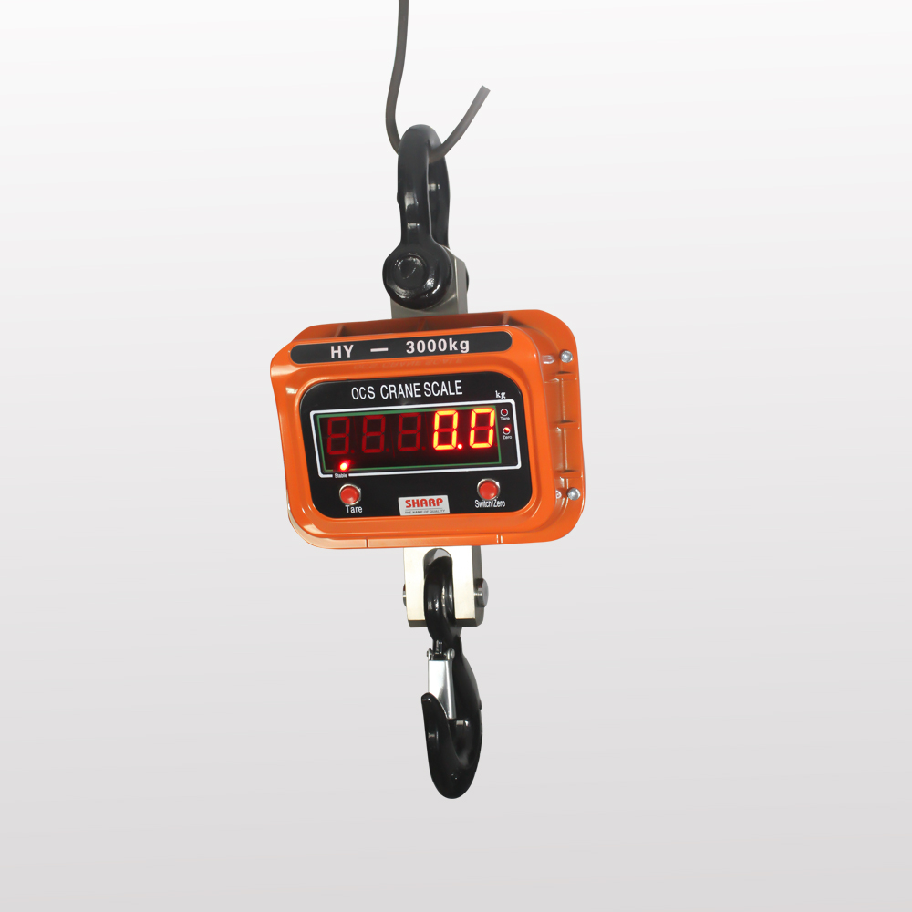 Crane Weighing Scales
